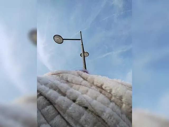 canitas69 from BongaCams