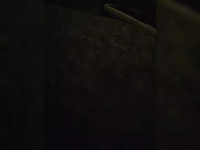 EvelynDreamy from BongaCams