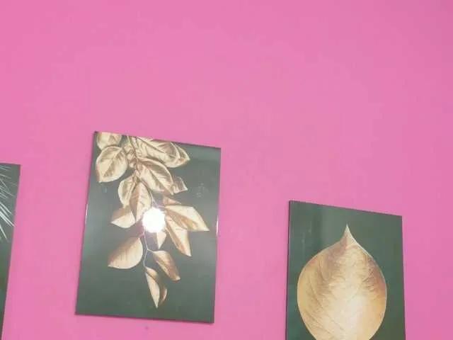 kinkyandsavage from BongaCams